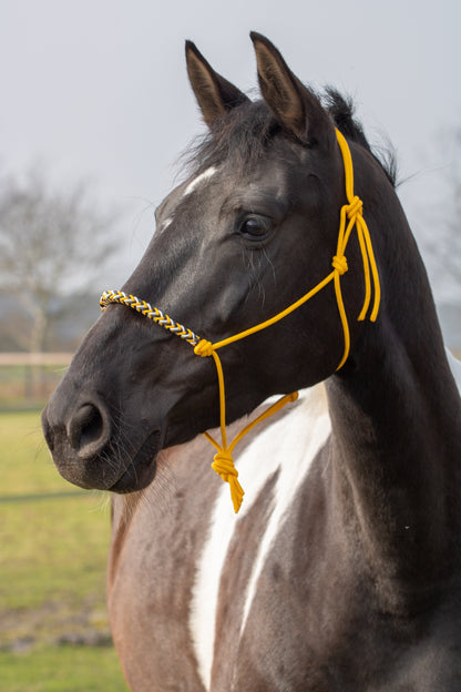 Rope halter with braided noseband honey yellow, white and black