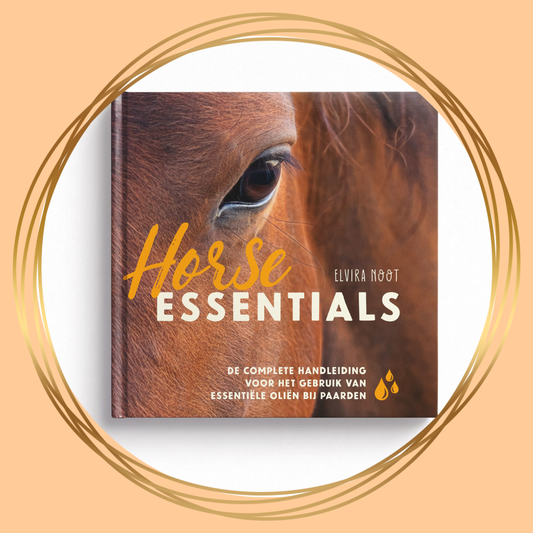 Elvira Noot | Horse Essentials