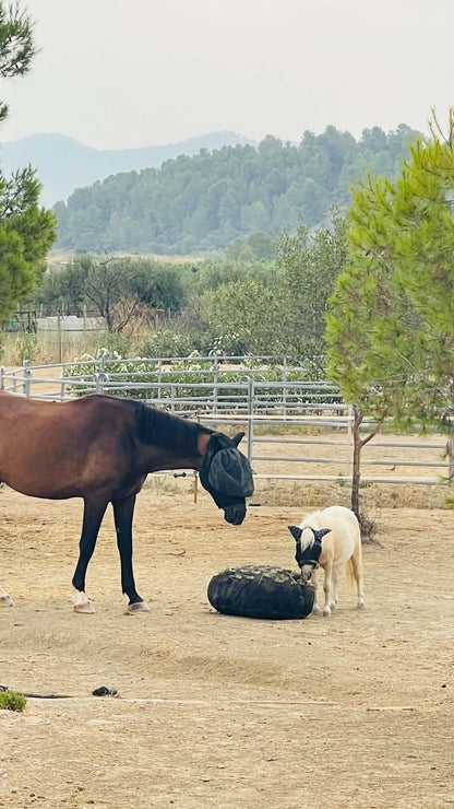 Equiviento - HayNest M (beige) hooizak slowfeeder