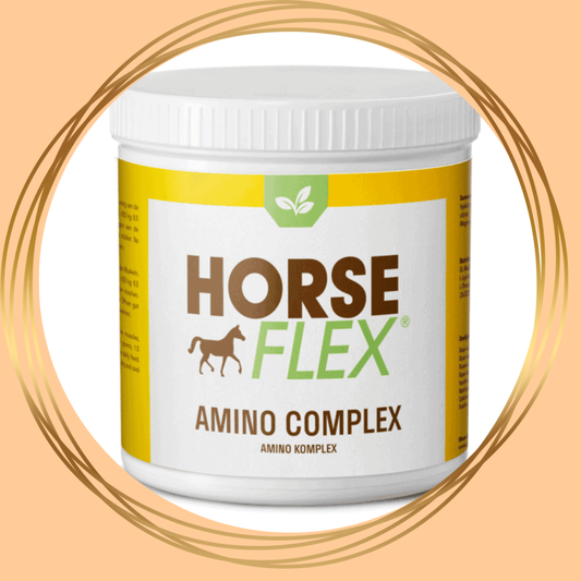 HorseFlex | Amino Complex