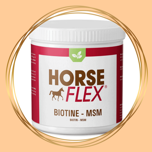 HorseFlex | Biotin / MSM