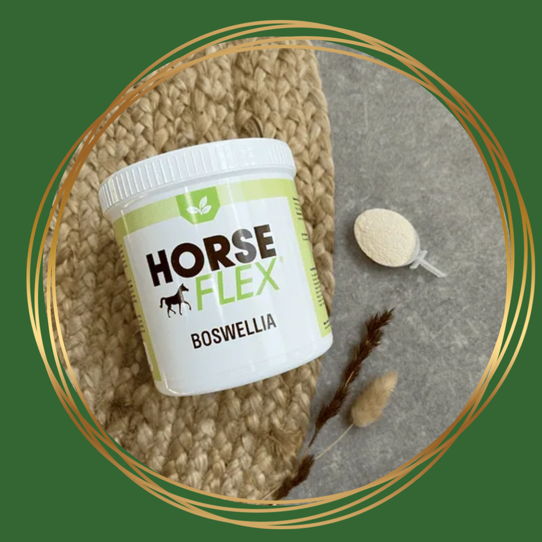 HorseFlex | Boswellia