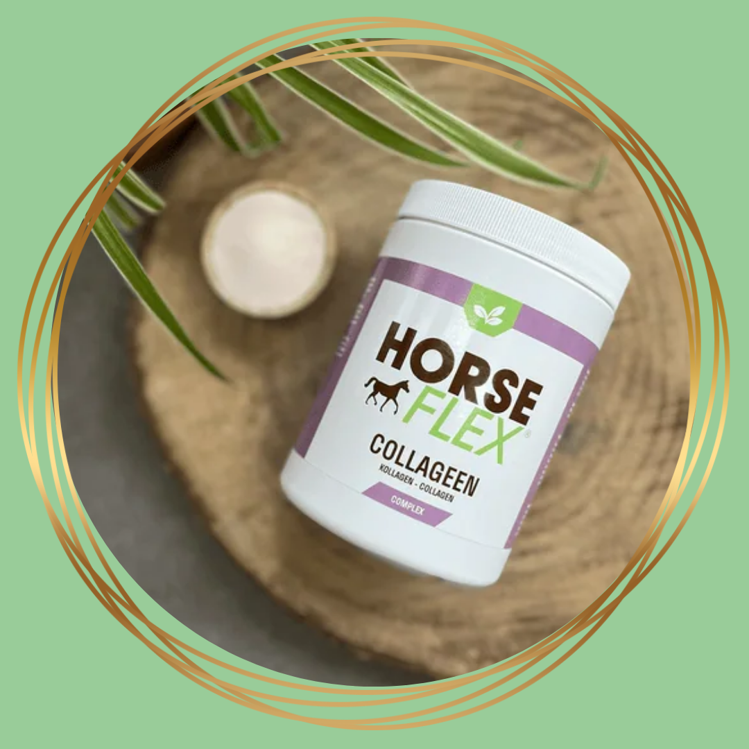HorseFlex | Complexe de collagène