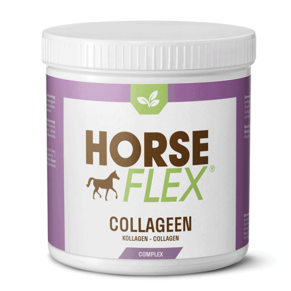 HorseFlex | Complexe de collagène