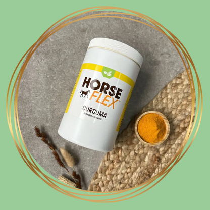 HorseFlex | Curcuma