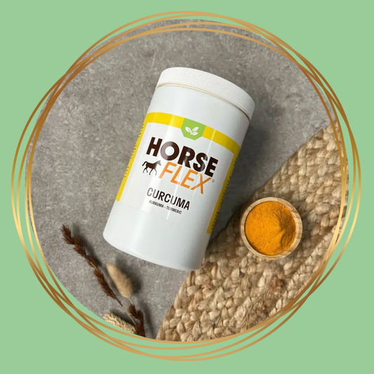 HorseFlex | Curcuma