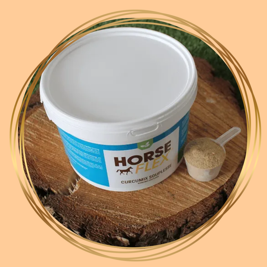 HorseFlex | Curcumix Souplesse