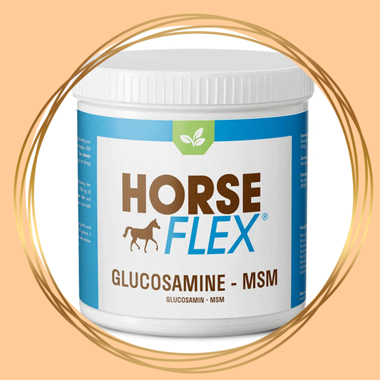 HorseFlex | Glucosamine + MSM