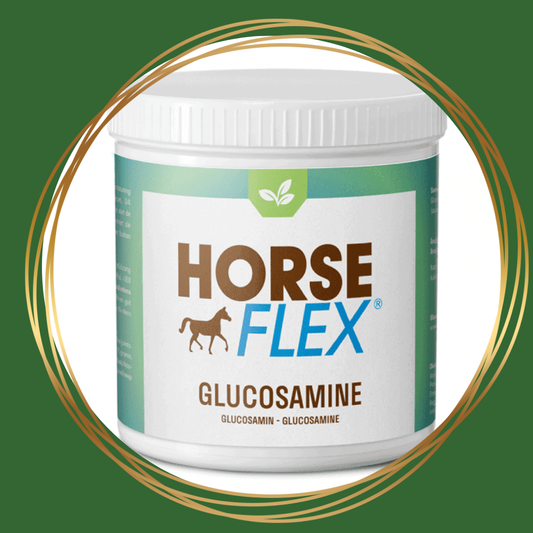 HorseFlex | Glucosamine