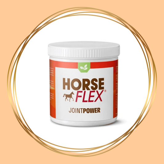 HorseFlex | JointPower