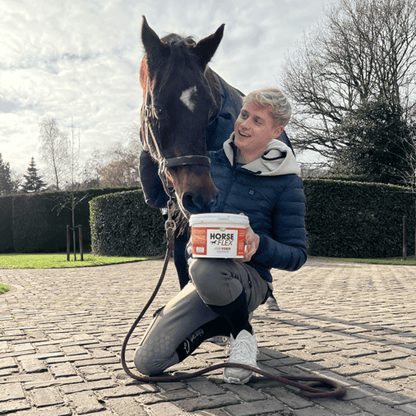 HorseFlex | JointPower + Ácido Hialurónico