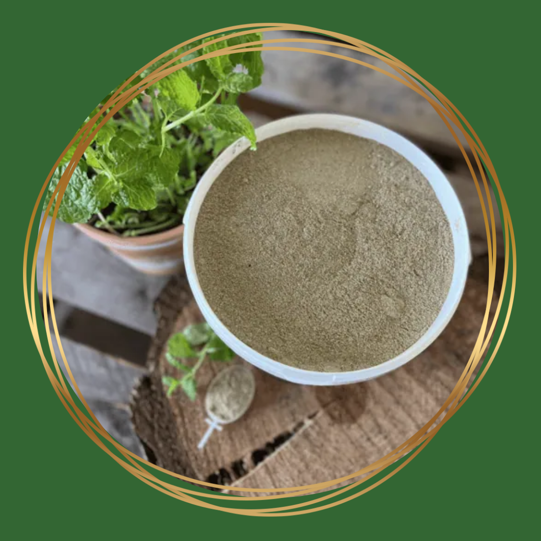 HorseFlex | Maag Balans