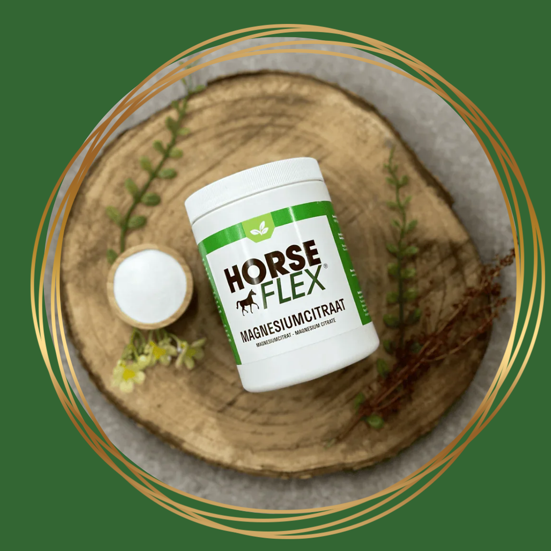 HorseFlex | Magnesiumcitraat