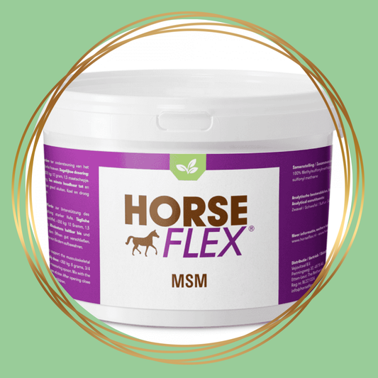 HorseFlex | MSM