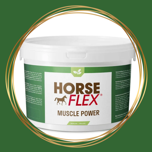 HorseFlex | Muscle Power