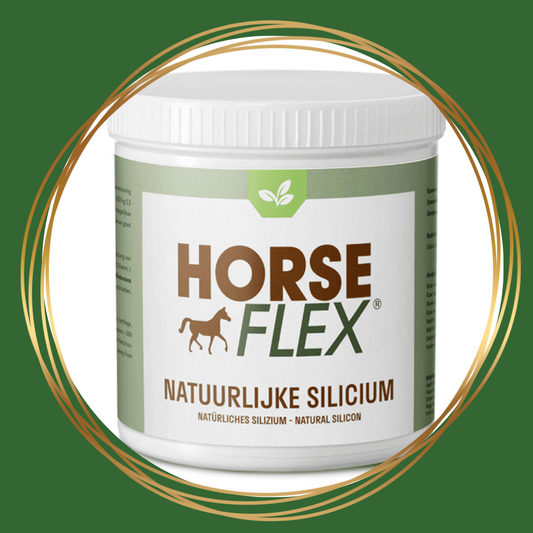 HorseFlex | Natural Silicon