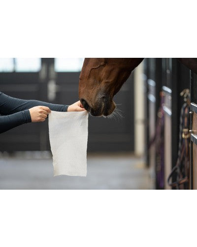 Horse Wipes - Horse grooming wipes XXL 30 pcs.