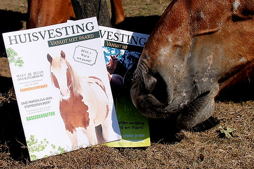 Huisvesting vanuit het paard | Magazine deel 1