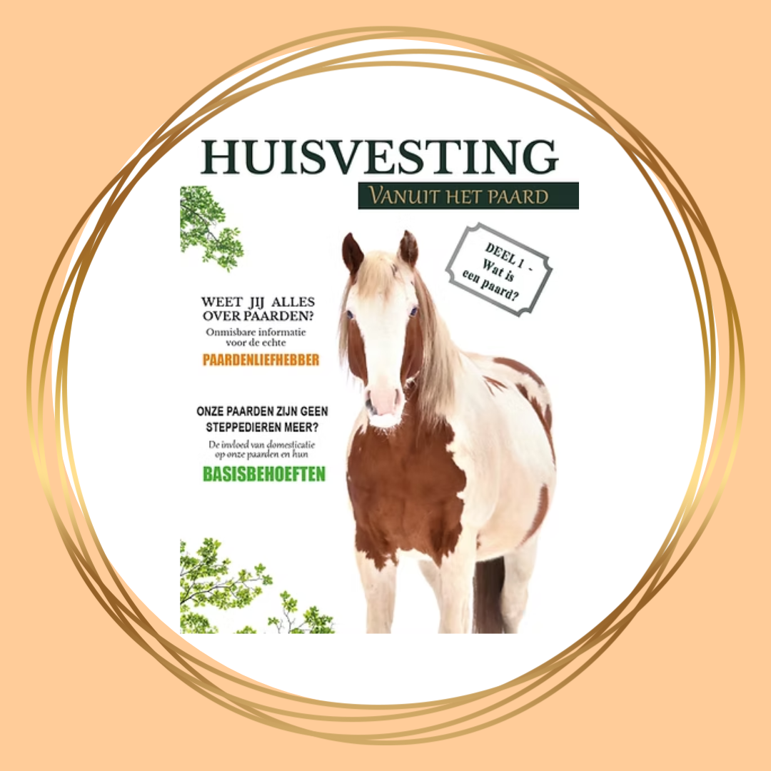 Huisvesting vanuit het paard | Magazine deel 1
