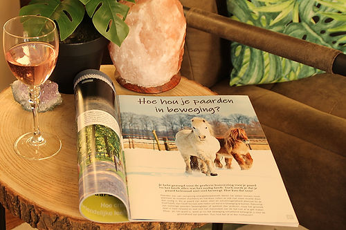 Huisvesting vanuit het paard | Magazine deel 2