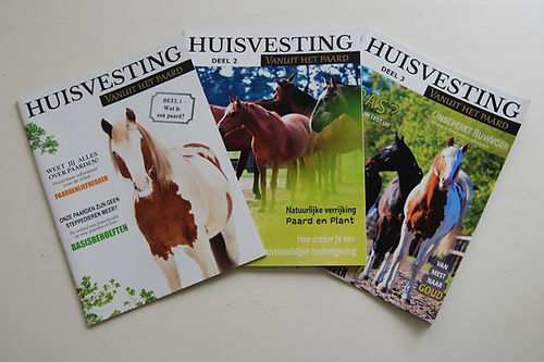 Huisvesting vanuit het paard | Magazine deel 1