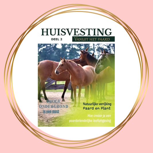 Huisvesting vanuit het paard | Magazine deel 2