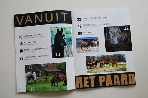 Huisvesting vanuit het paard | Magazine deel 3
