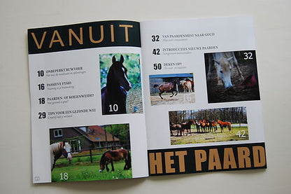 Housing from the Horse | Magazine part 3