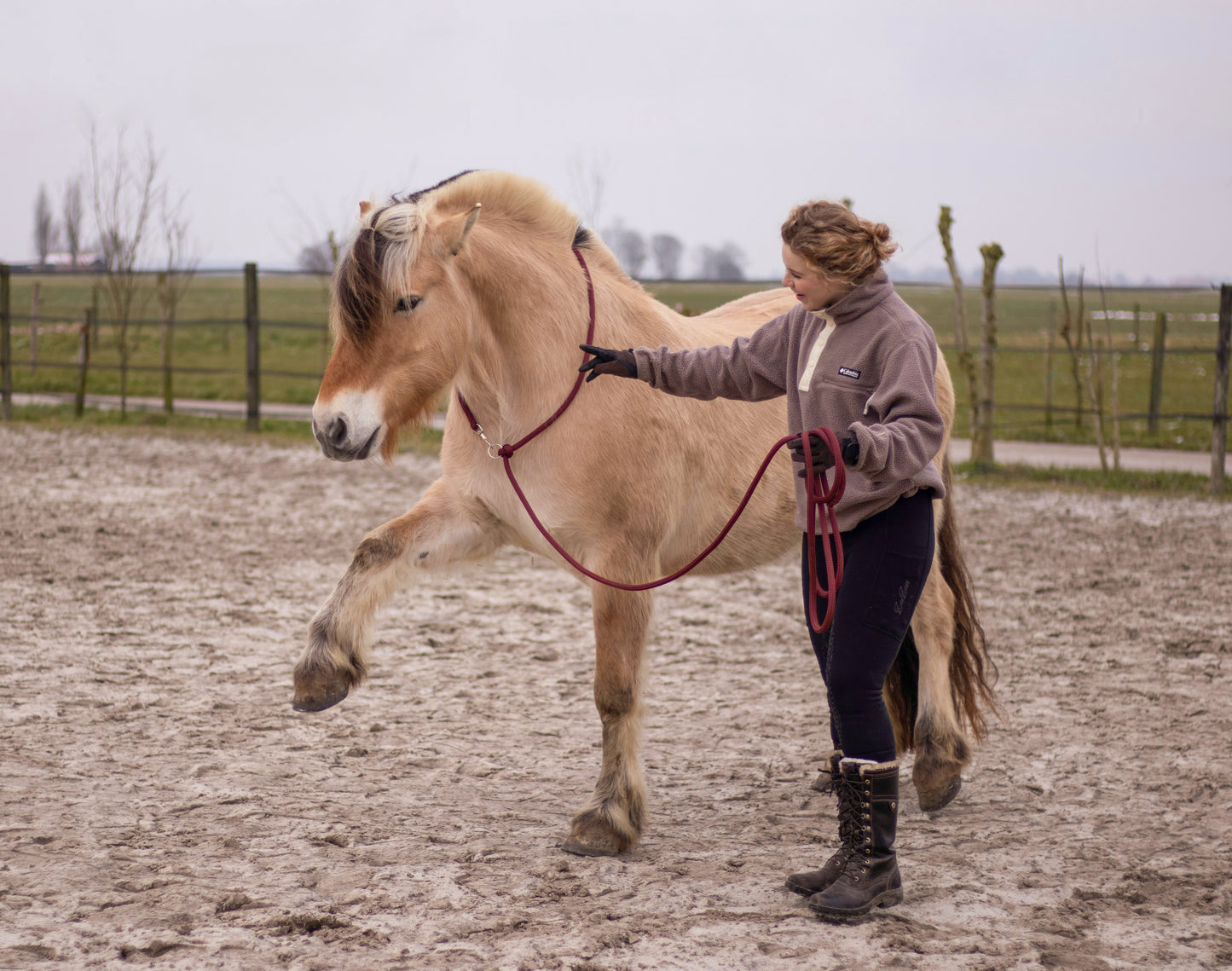 Myrthe's Paardenpassie - Linea Liberty 2-1