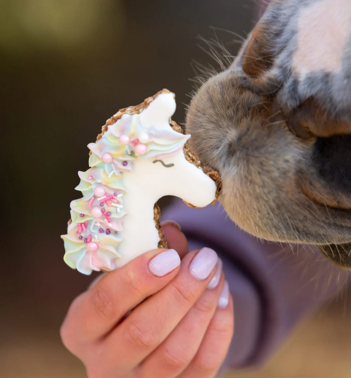Konska Cukierenka - Luxe Paardenkoekje Unicorn Eenhoorn