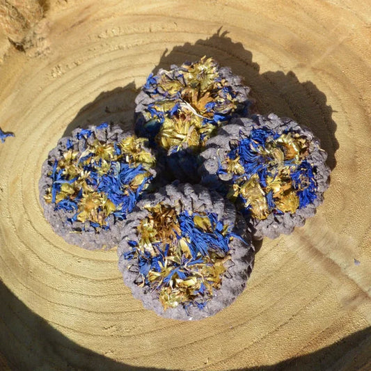 Frisian Roots Barn - Blueberry Bites natuurlijke paardenkoekjes blauwe bes 4st.