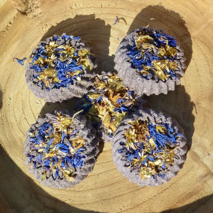 Frisian Roots Barn - Blueberry Bites natuurlijke paardenkoekjes blauwe bes 4st.