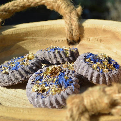 Frisian Roots Barn - Blueberry Bites natuurlijke paardenkoekjes blauwe bes 4st.