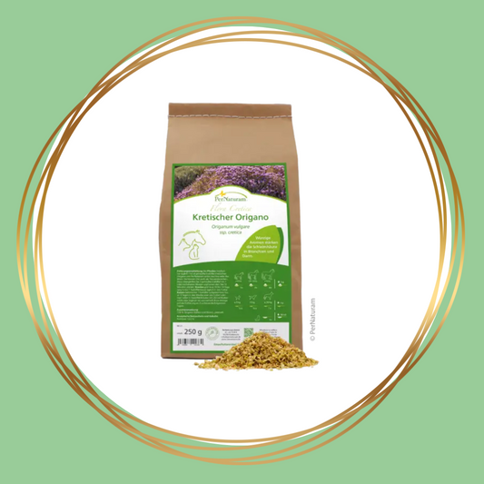 PerNaturam | Kretischer Origano (kretenzische oregano)