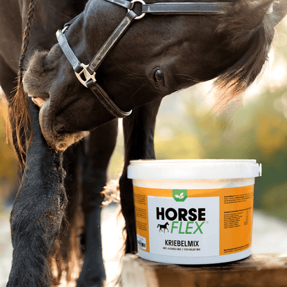 HorseFlex | Miscela anti-prurito