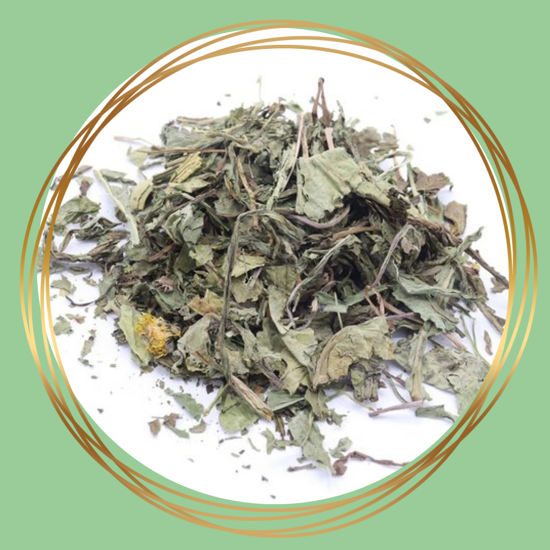 Herbimals | Paardenbloemblad (grof)