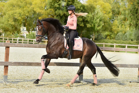 Equestrian Stockholm - Mix & Match Bundel - 2 items = -10% / 3 items = -15%