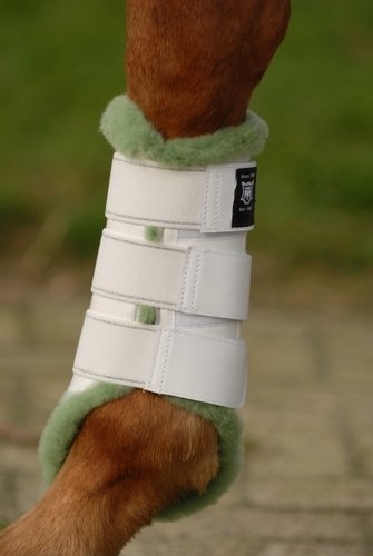 Lederen beenbeschermers met lamswol