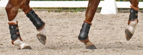 Lederen beenbeschermers met lamswol bont