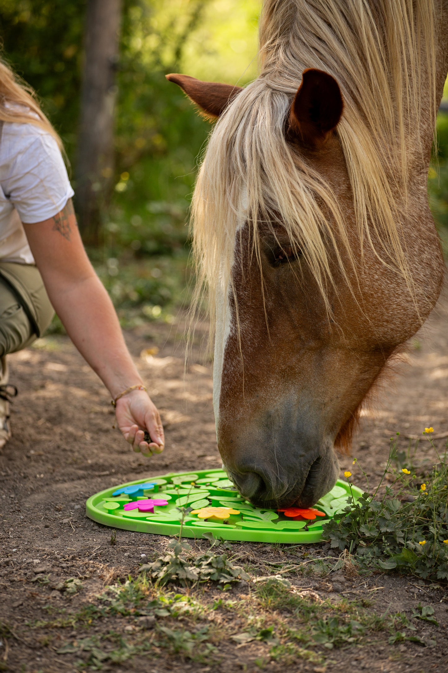 Excellent Horse - Schnüffelteppich Flower Power