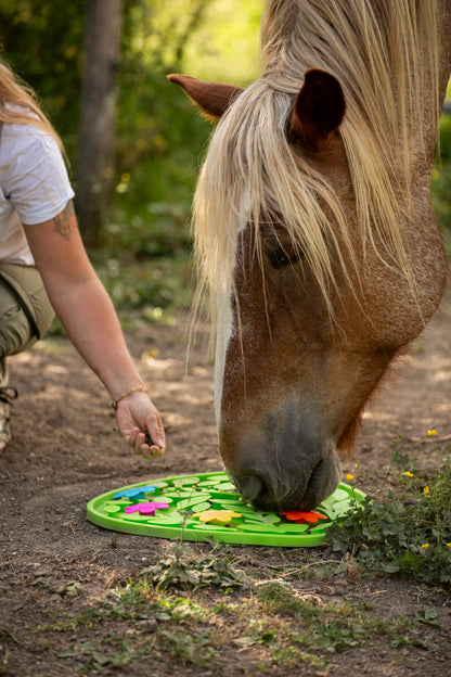 Excellent Horse - Schnüffelteppich Flower Power