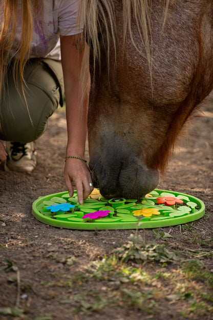 Excellent Horse - Schnüffelteppich Flower Power