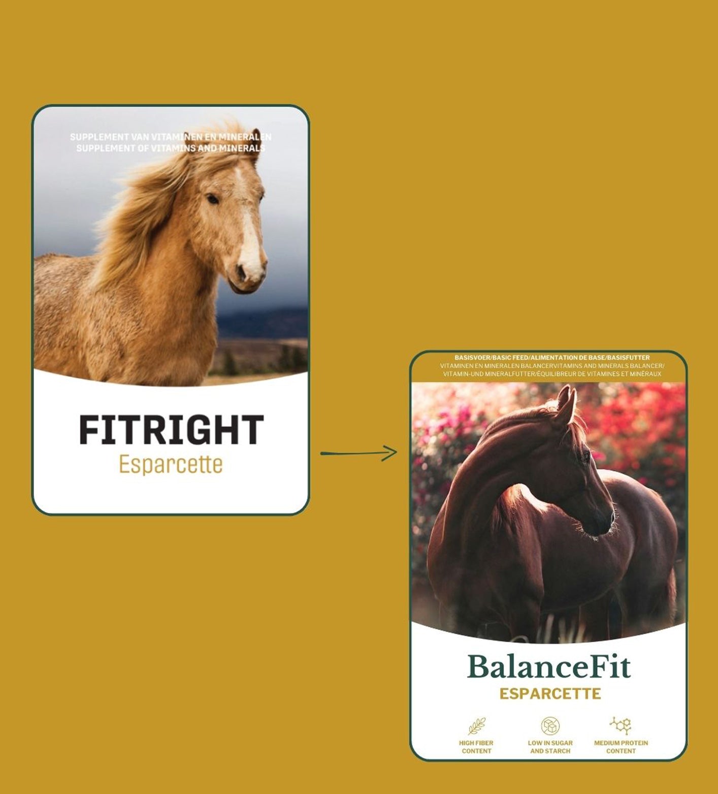 Metazoa | BalanceFit Esparcette (voorheen: Fitright Esparcette)