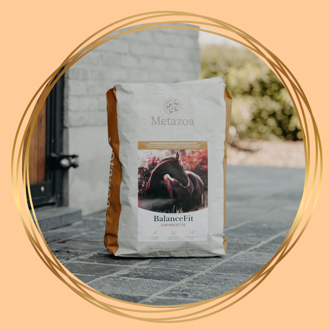 Metazoa | BalanceFit Esparcette (voorheen: Fitright Esparcette)