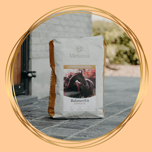 Metazoa | BalanceFit Esparcette (voorheen: Fitright Esparcette)