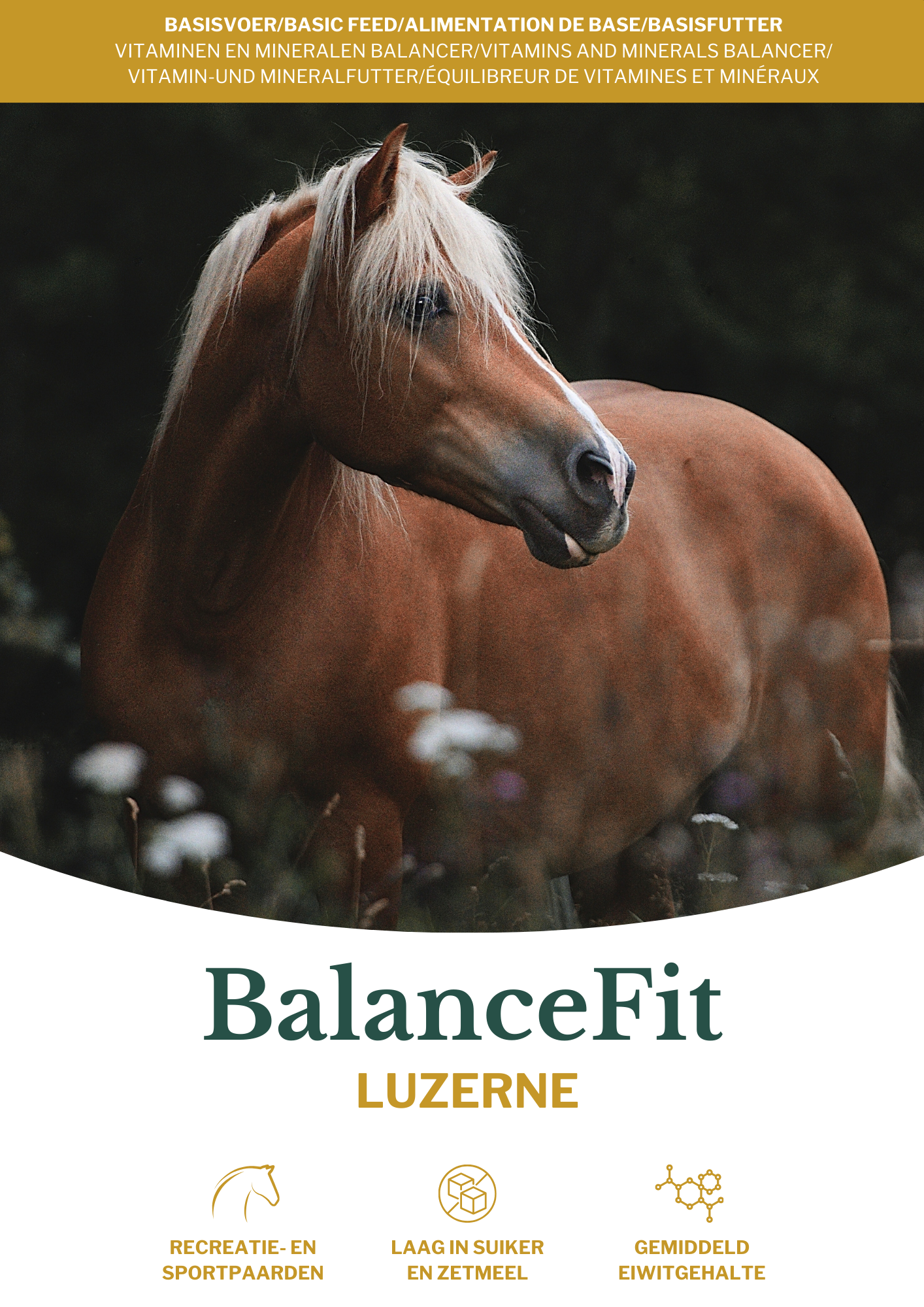 Metazoa | BalanceFit Luzerne (voorheen: Fitright Luzerne)
