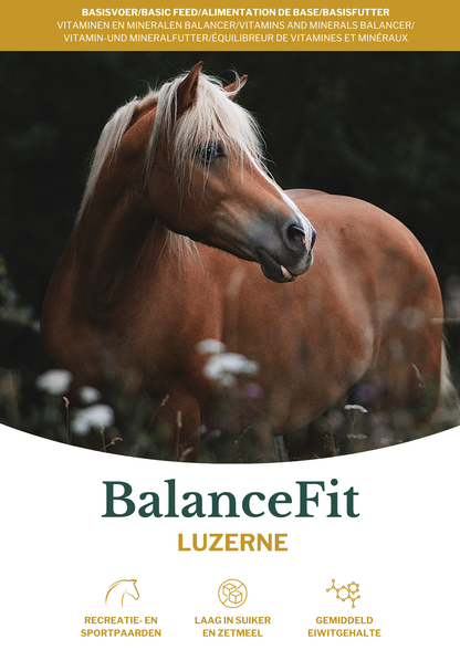 Metazoa | BalanceFit Luzerne (precedentemente: Fitright Luzerne)