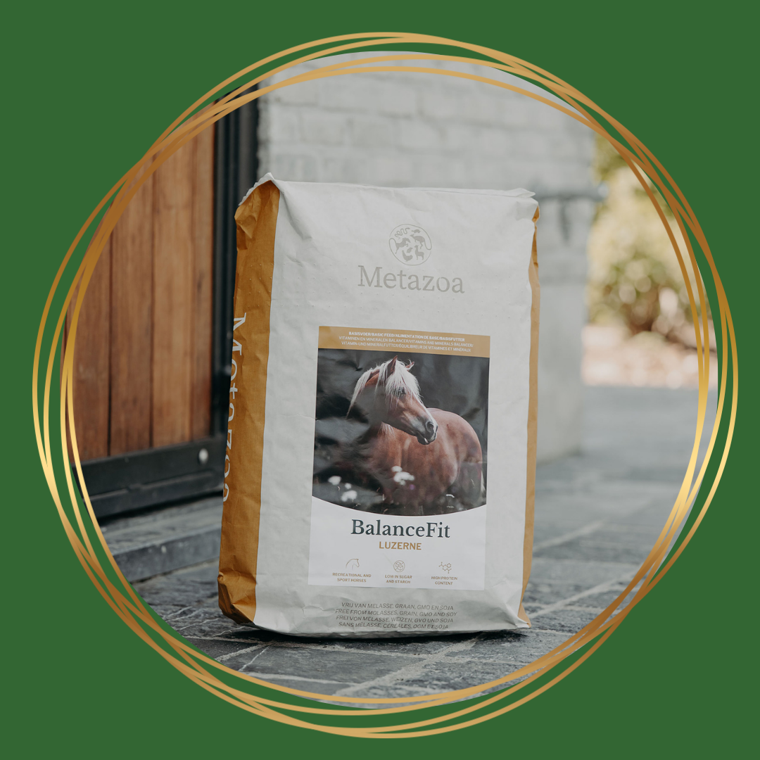 Metazoa | BalanceFit Luzerne (voorheen: Fitright Luzerne)