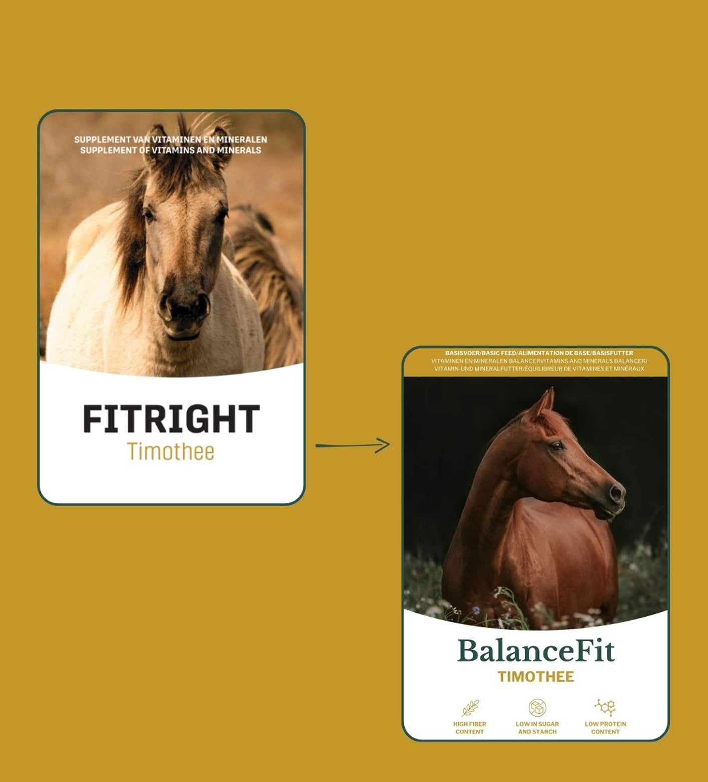 Metazoa | BalanceFit Timothee (voorheen: Fitright Timothee)