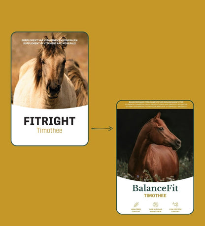 Metazoa | BalanceFit Timothee (precedentemente: Fitright Timothee)